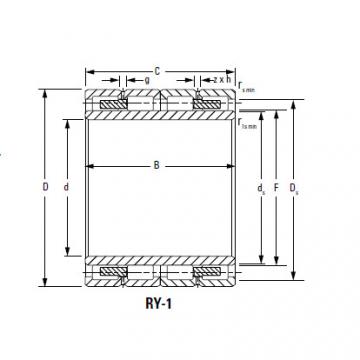 Bearing 300RY2002 RY-2