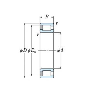 Bearing NNCF4984V