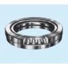 Bearing 294/530