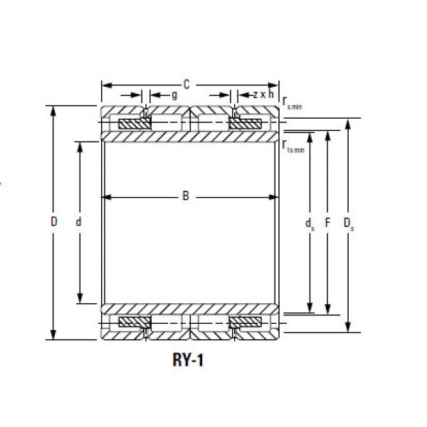 Bearing 220ARVSL1621 246RYSL1621 #1 image